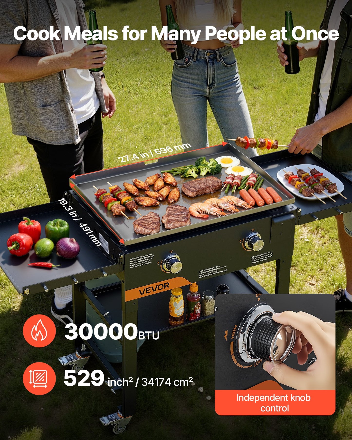 2-Burner Outdoor Propane Flat Top Grill